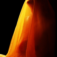 Orange Veil 1